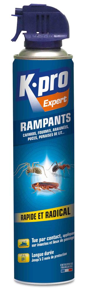 Insecticide anti rampants en aérosol 400 ml TP18