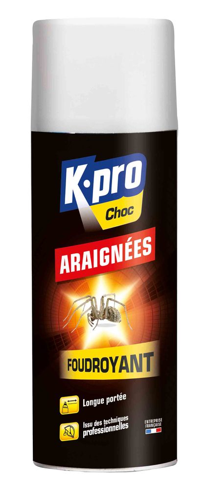 Aérosol insecticide Anti Araignées 400 ml TP18 pour éliminer les araignées rampantes et autres insectes.