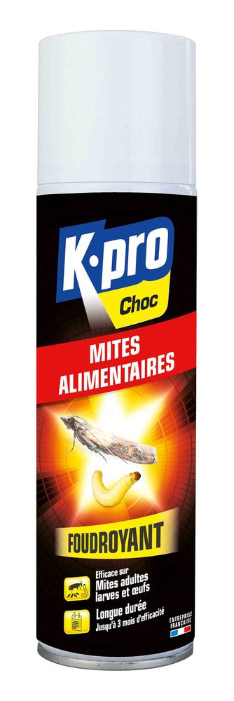 Bombe aérosol insecticide Anti Mites Alimentaires 250 ml TP18 pour la protection des denrées stockées.