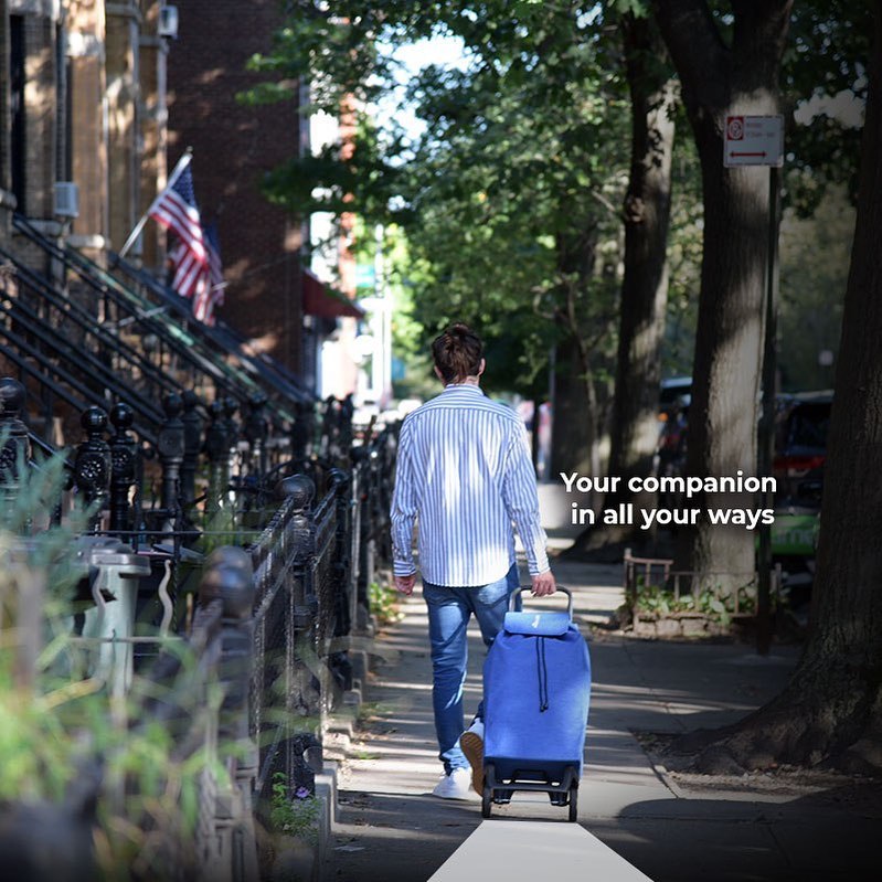 Poussette de Marché Jet LN Joy 2 Roues 40L