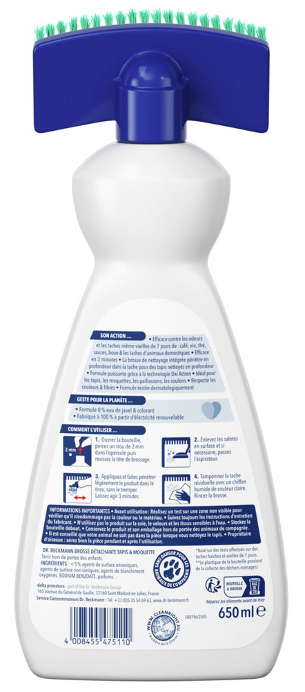 Brosse Détachante Tapis et Moquette 650 ml