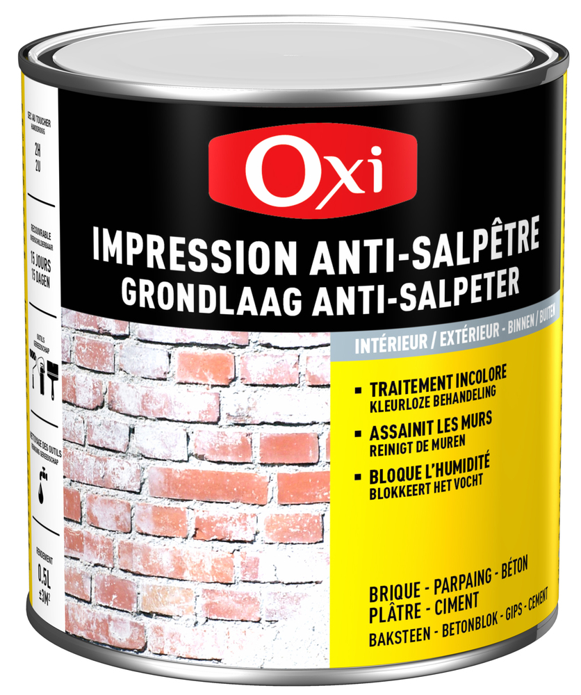Bidon de traitement liquide murs anti-salpêtre prêt à l'emploi 0.5L