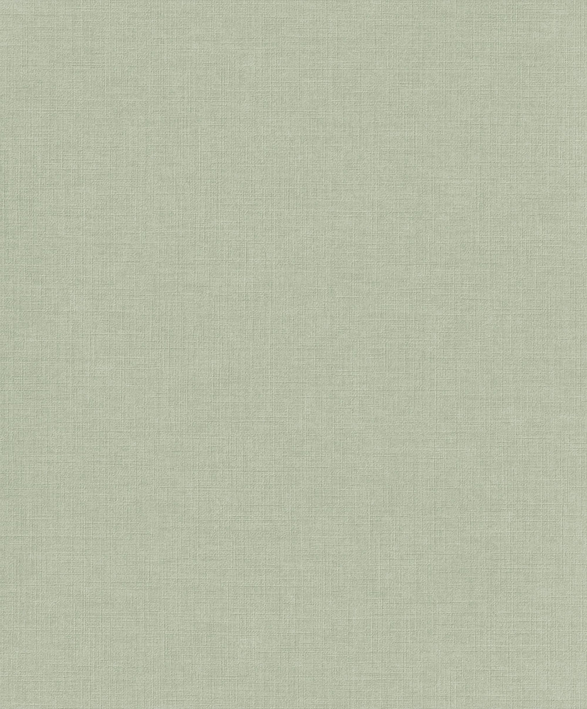 Papier peint Vinyle Intissé Solena Uni couleur sauge, aspect mat texturé pour décoration murale