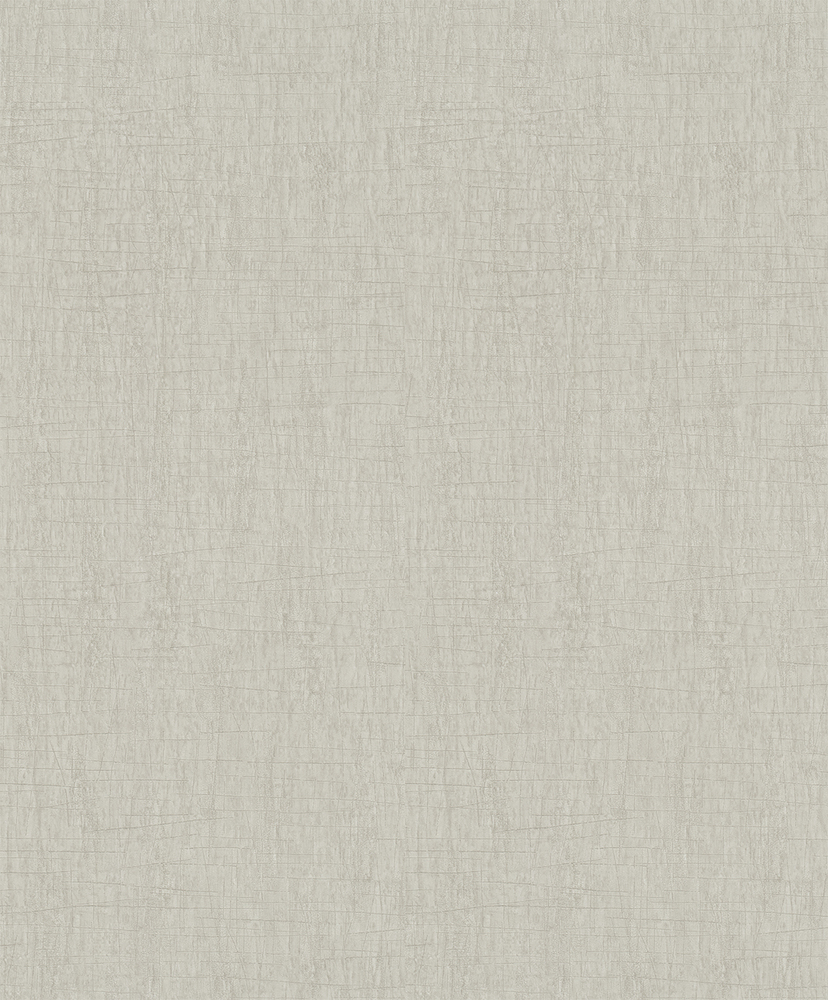 Papier Peint Intissé Gris effet Plâtre Gratté, finition mate, Collection Décorama Unis 2027