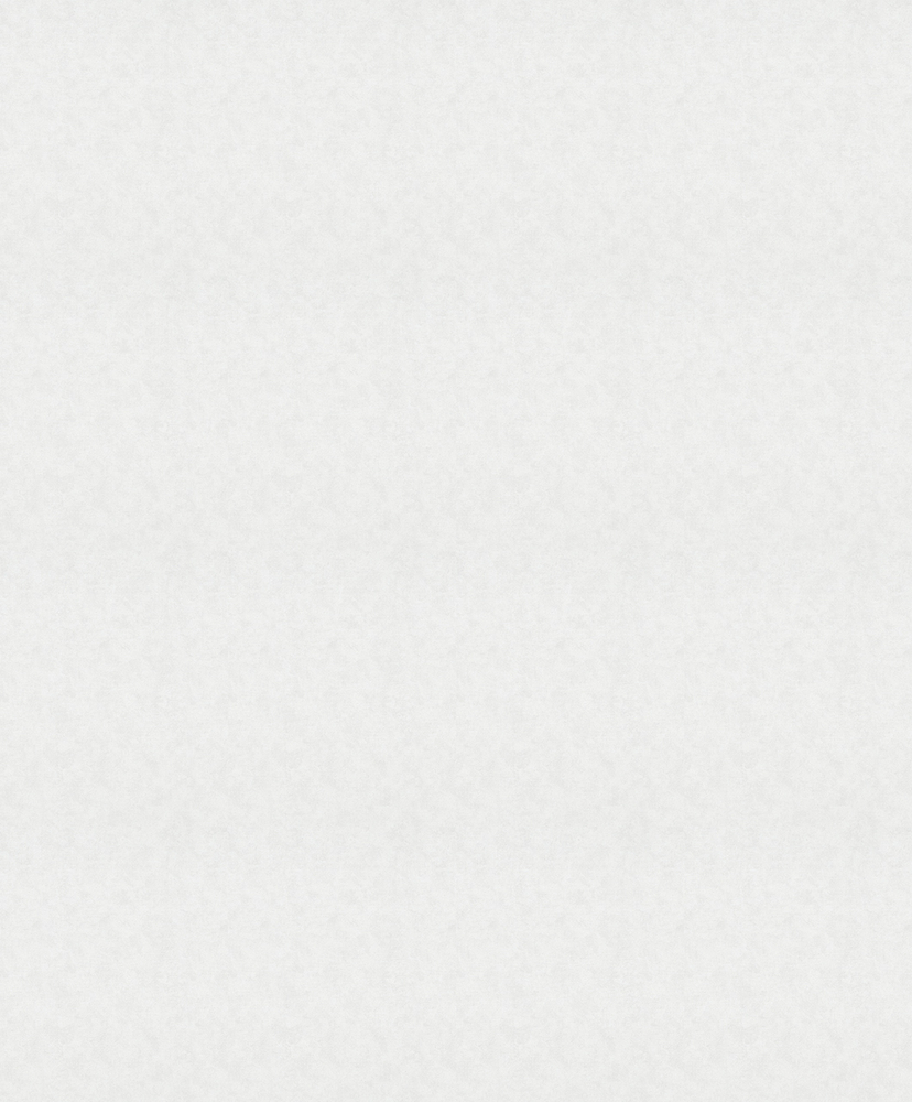 Papier peint intissé micro motif blanc, finition mate, collection Décorama Unis 2027