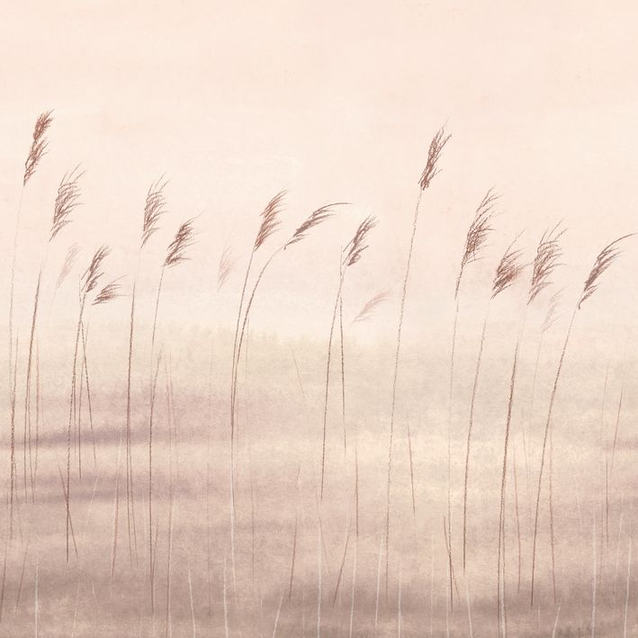 20008 - Papier Peint Intissé Jonc Des Dunes Naturel  - M