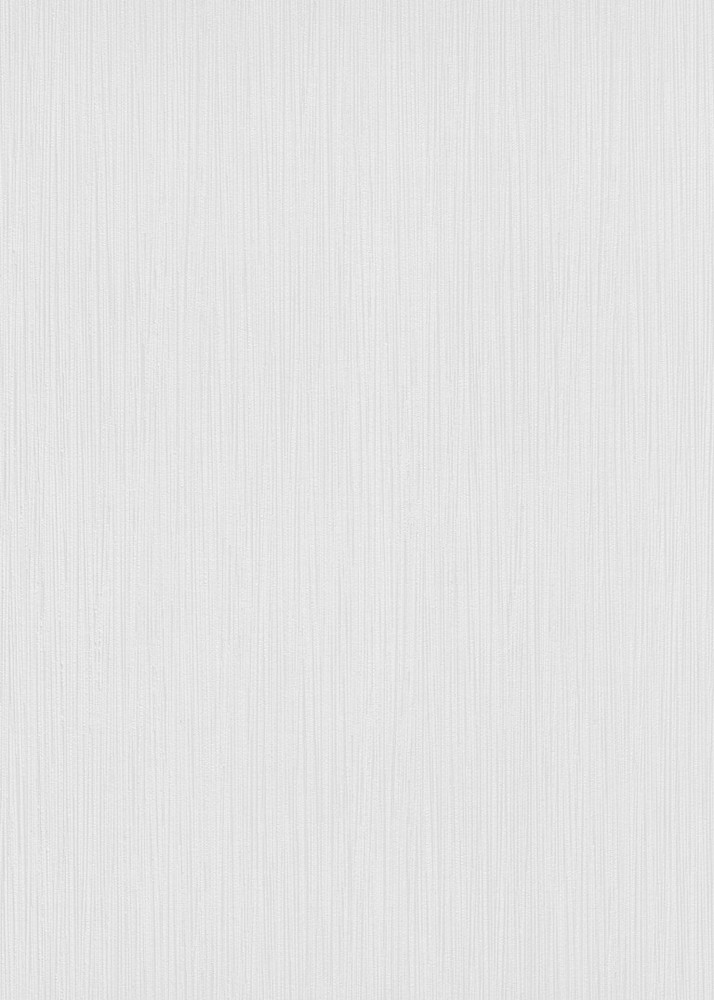 10478-01 - Papier Peint Vinyle Expansé sur Intissé Blanc