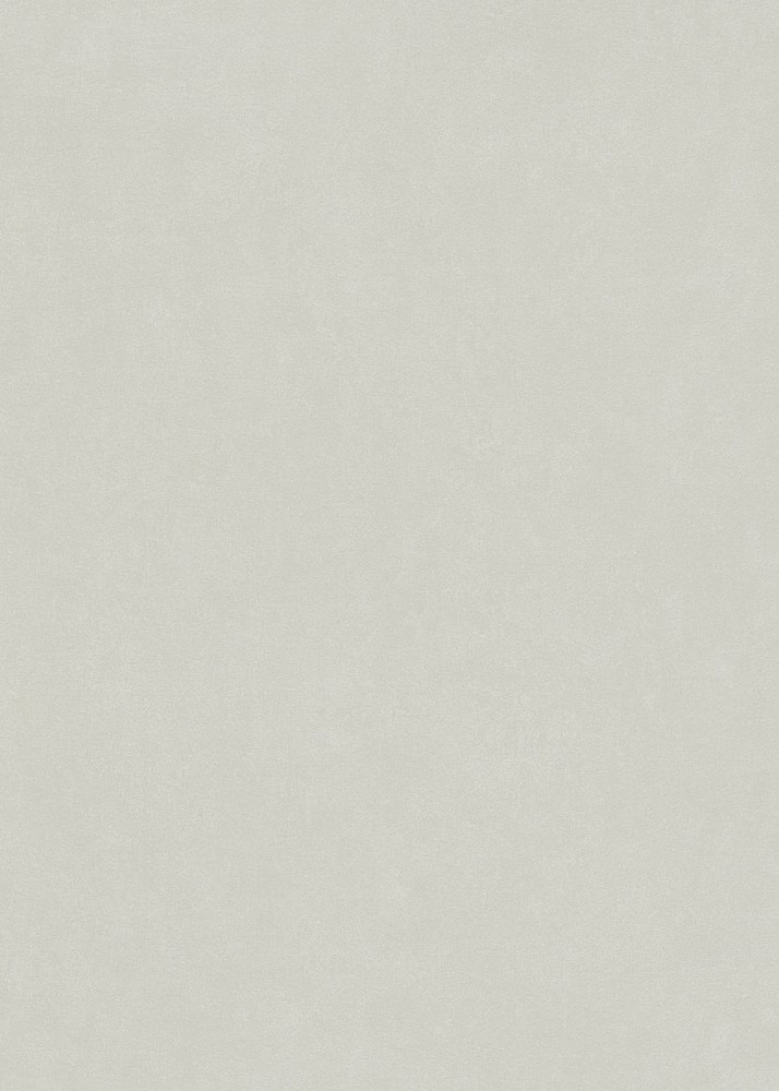 10306-02 - Papier Peint Vinyle Expansé sur Intissé Beige