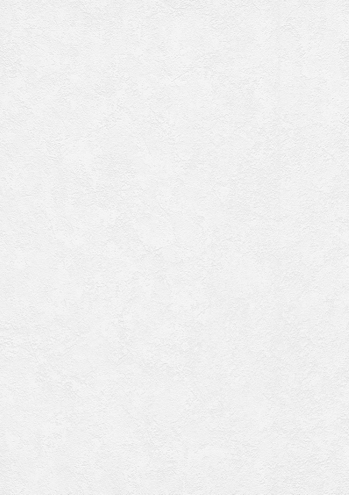 6986-01 - Papier Peint Vinyle Expansé sur Intissé Blanc