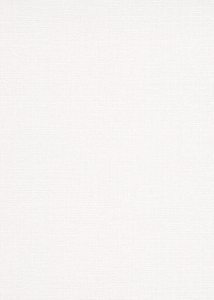 20013-10 - Papier Peint Vinyle Expansé sur Papier Lin Blanc