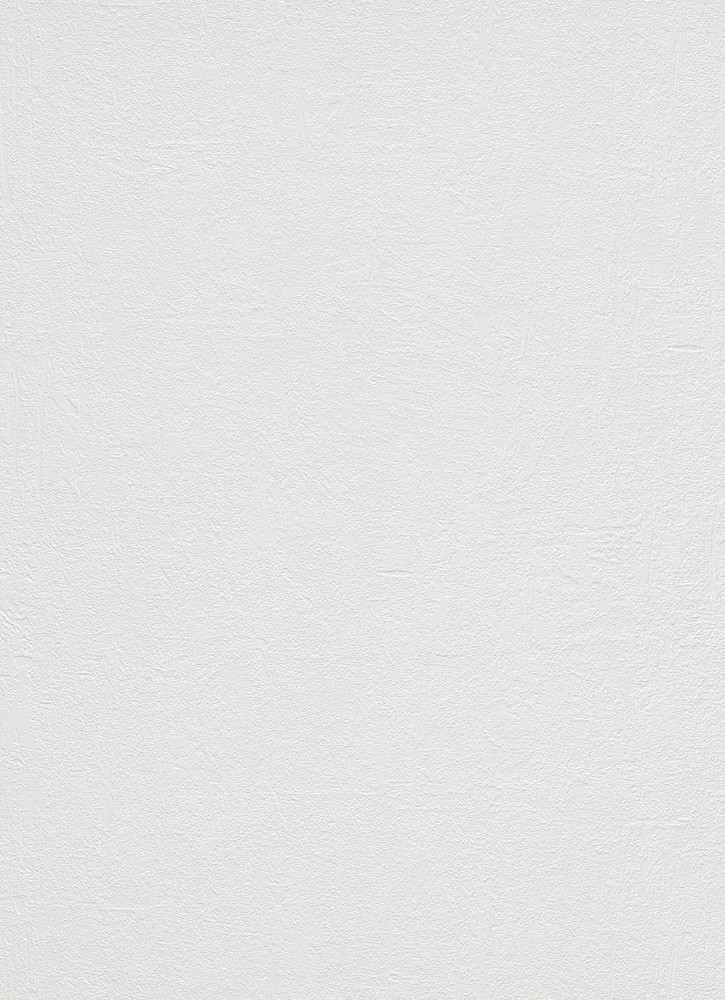 9715-01 - Papier Peint Vinyle Expansé sur Papier Enduit Minéral Blanc