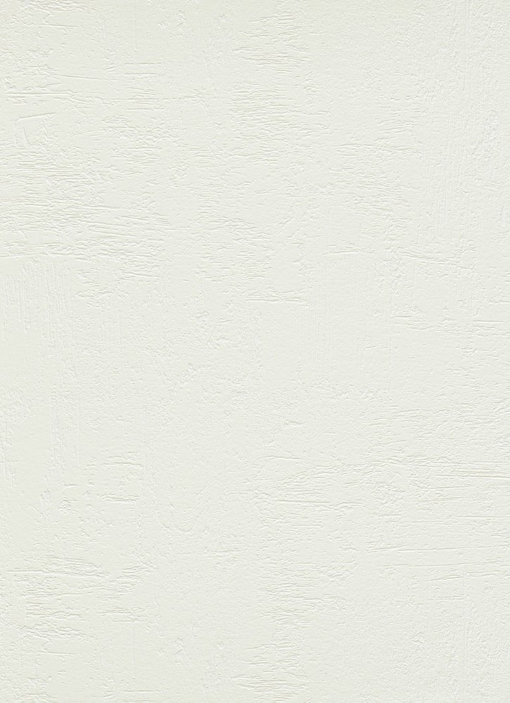8586-01 - Papier Peint Vinyle Expansé sur Papier Cuir Blanc