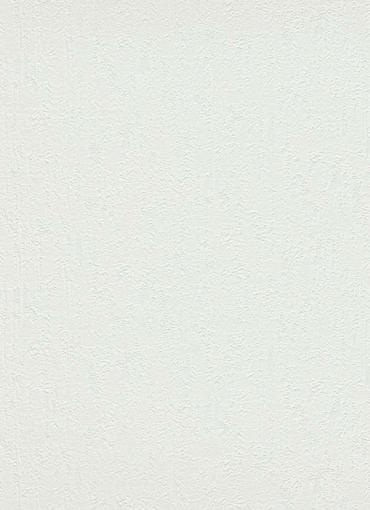 9187-1 - Papier Peint Vinyle Expansé sur Papier Grain de Plâtre Blanc