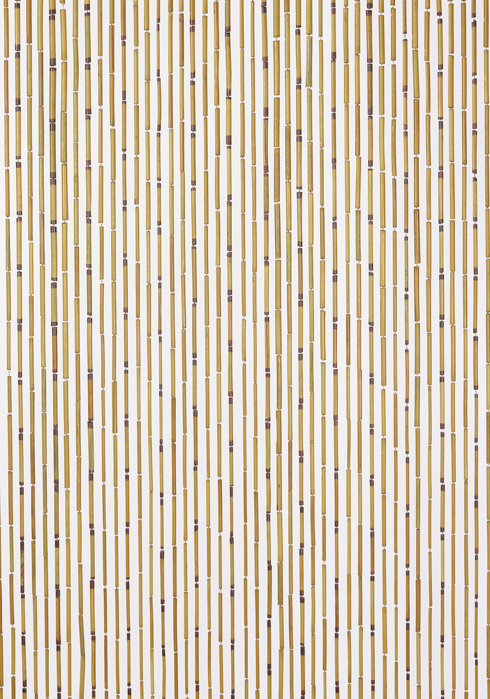 Rideau de Porte en Bambou Vernis 90 x 200 cm