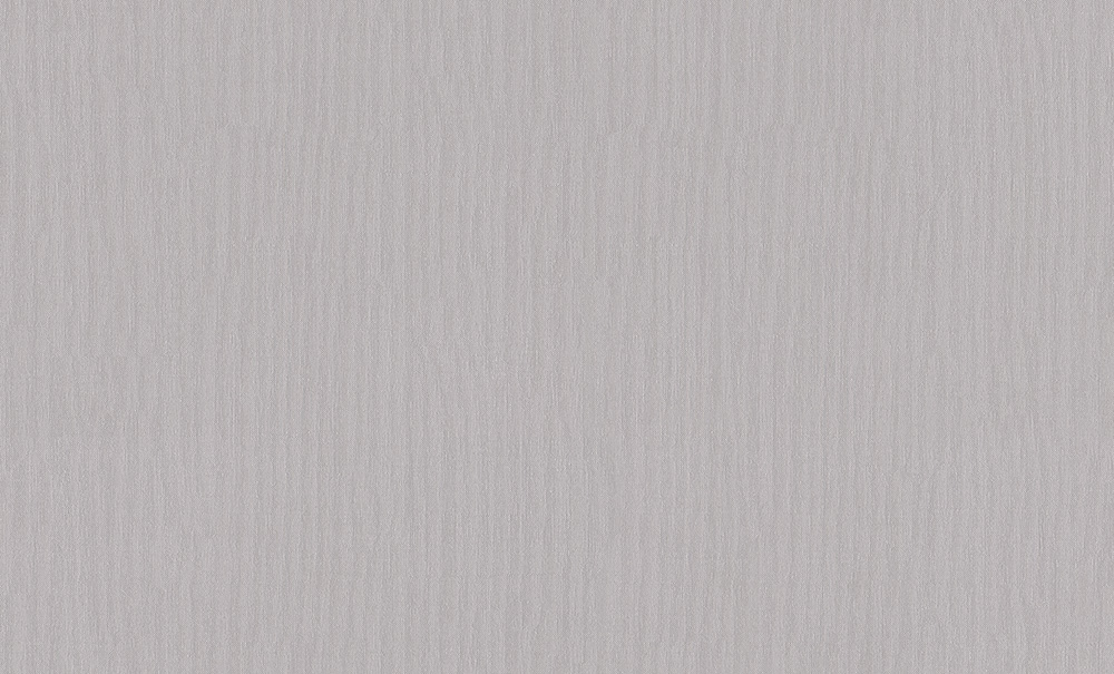 252517 - Revêtement Intissé Grande Largeur Gris GO COULEUR