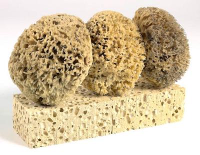 Lot de 2 Éponges Gros Travaux et de 3 Éponges Naturelles