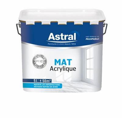 Peinture acrylique bicouche mat blanc base white 5L
