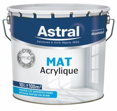 Peinture acrylique bicouche mat blanc base white 10L