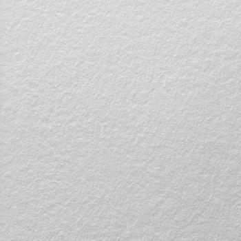 Voile de Rénovation Prépeint GV190C 50x1m