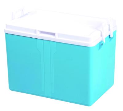 Glacière EDA 52l coloris assortis