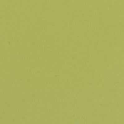 Linosom Etrusco xf² 2.5mm 2m Anis 14877095