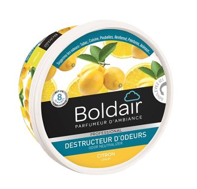 Destructeur d'Odeur en Gel Senteur Citron 300gr