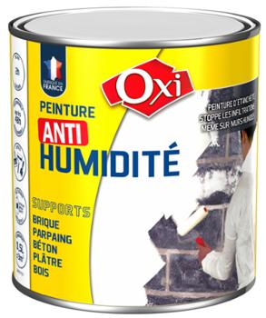 Peinture Anti Humidité