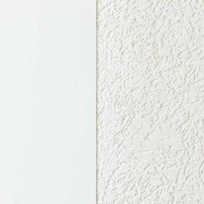 Lecouvretout Lisse et Prépeinte 66500 1 m x 15 m