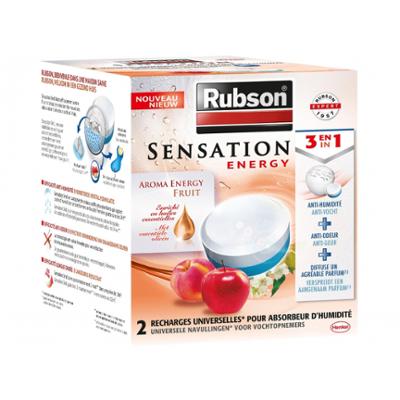 Recharges pour absorbeur Sensation Energie fruit, lot de 2 recharges