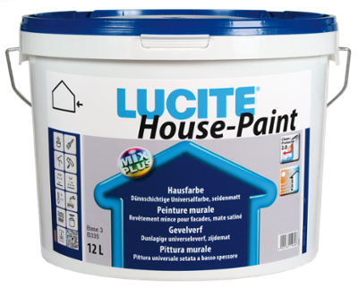 Lucite Murale House-paint