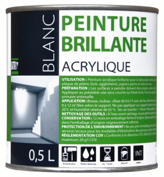 Batir 1er Peinture Acrylique Brillant 0L5