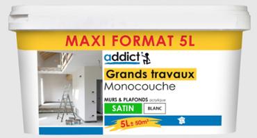 Addict Grands Travaux Satin Monocouche 5L Maxi Format
