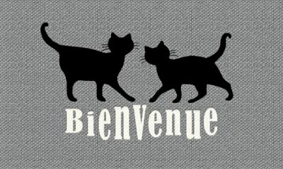 Tapis Patio Bienvenue Chat 45 x 75 cm