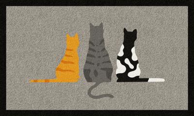 Tapis Patio Chat de dos 50x80cm