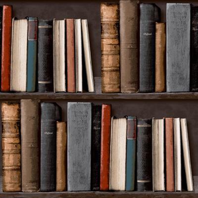 VOC 01 01 5 Liasse Best VGI Bibliotek