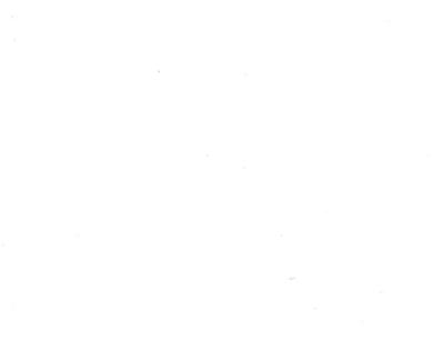 21030 Adhésif Classic Blanc 45cmx1,5ml