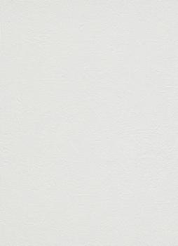 Papier peint vinyle expansé 5858 uni blanc, avec surface texturée et finition mate