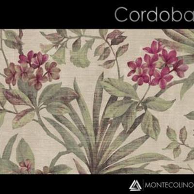 Cordoba Album Montecolino 2021