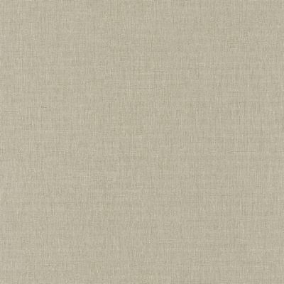 2669 - Vinyl sur intissé Uni Beige