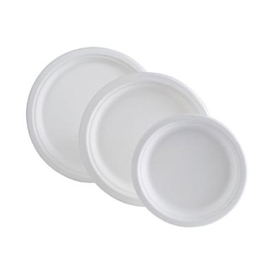 Assiettes Blanches en Bagasse Lot de 50