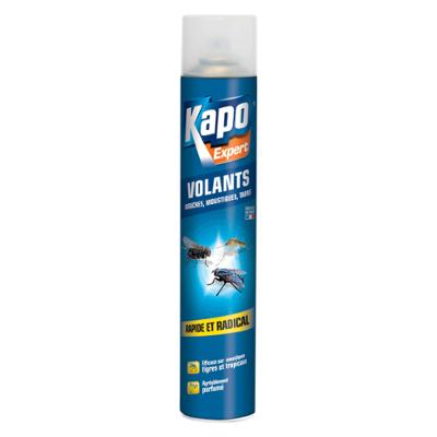 Aérosol Insectes Volants 750ml