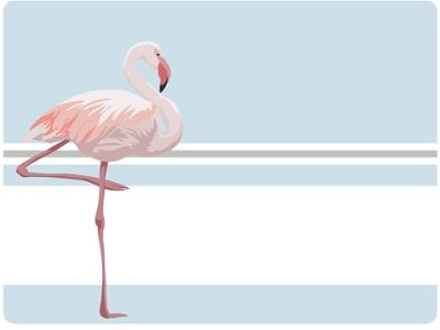 Set de Table 40 x 30 cm Flamand Rose