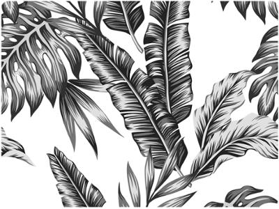 Set de Table 40 x 30 cm Deko Feuille Tropical Noir
