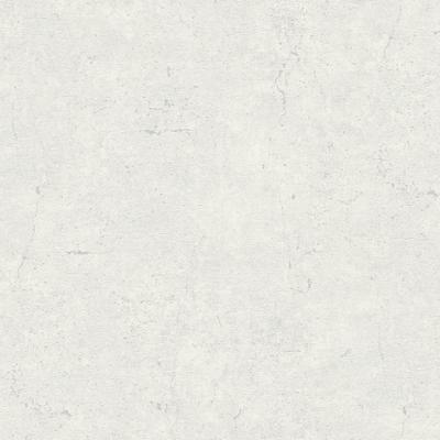 5074 - Papier Vinyle sur Intissé Béton Gris