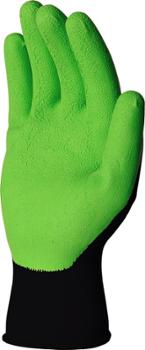 Gants de Jardin Tricot Latex Vert sur Carte