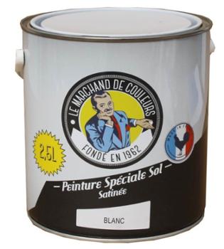 Peinture Spéciale Sol Pot 2L5