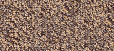 Moquette Juliette 4428 4 m Marron Ocre