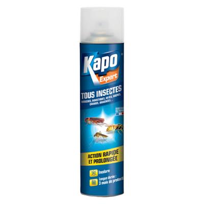 Anti Insectes : Aérosol 300 ml