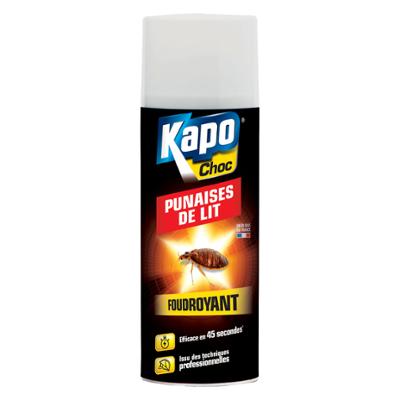 Anti Punaises de Lit Foudroyant 400ml