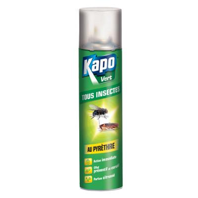 Aérosol Tous Insectes au Pyrèthre 300 ml